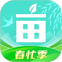 免费看片